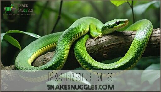 Arboreal Snake Species Habitat Profile: Tree-Dwelling Adaptations