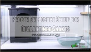 proper enclosure setup for quarantined snakes