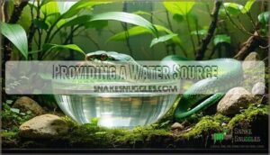 providing a water source