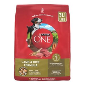 Purina ONE Dry Dog Food B009IOCCD2