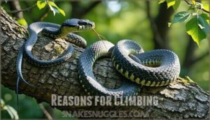reasons for climbing