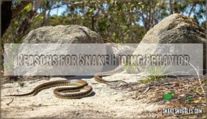 reasons for snake hiding behavior