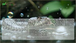 reasons for snakes in the water
