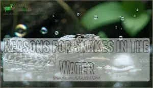 reasons for snakes in the water reasons for snakes in the water