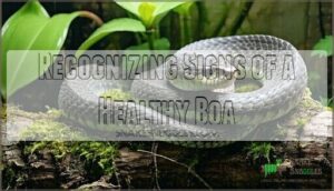recognizing signs of a healthy boa