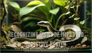recognizing signs of improved digestive health
