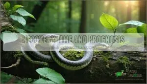 recovery time and prognosis recovery time and prognosis