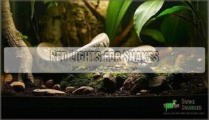 red lights for snakes