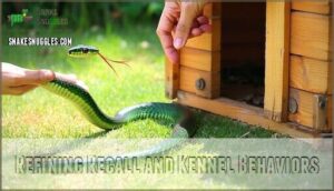 refining recall and kennel behaviors