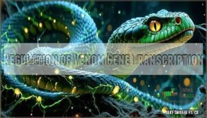 regulation of venom gene transcription