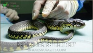 reptile disease treatment