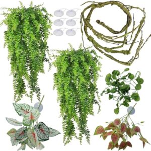 Reptile Plants for Bearded Dragon B0CR3K72PF