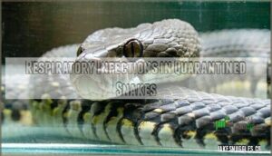respiratory infections in quarantined snakes