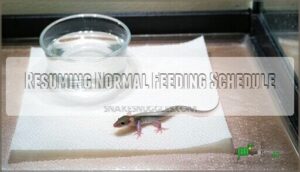 resuming normal feeding schedule