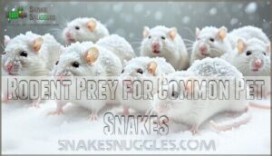 rodent prey for common pet snakes
