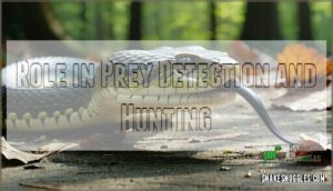 role in prey detection and hunting