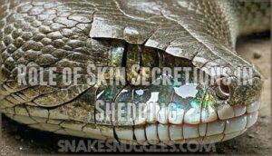 role of skin secretions in shedding