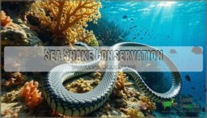 sea snake conservation