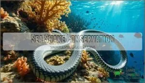 sea snake conservation sea snake conservation