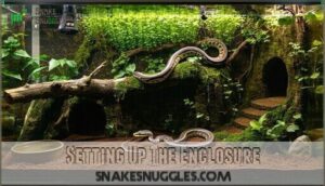 setting up the enclosure