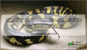 signs of snake dehydration