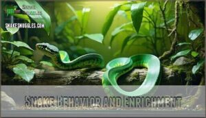 snake behavior and enrichment