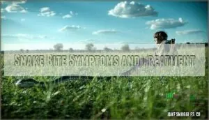 snake bite symptoms and treatment snake bite symptoms and treatment
