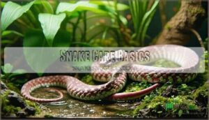 snake care basics