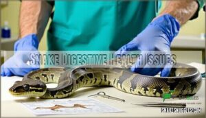 snake digestive health issues