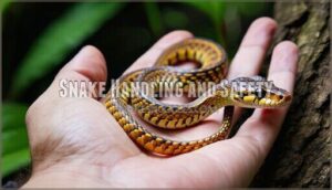 snake handling and safety