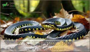 snake hibernation basics