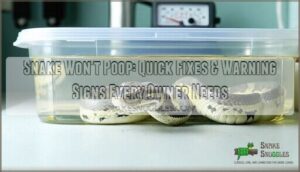 snake wont poop what to do