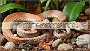 snakes for beginners guide