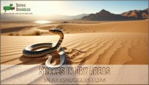 snakes in dry areas