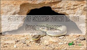 species of snakes found in the atacama desert