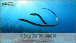 streamlined bodies