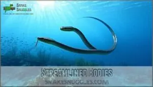 streamlined bodies streamlined bodies