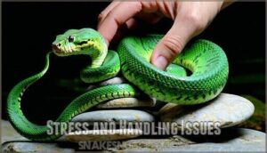 stress and handling issues