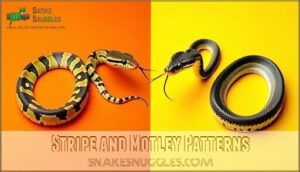 stripe and motley patterns