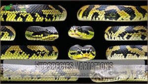 subspecies variations