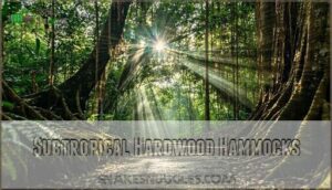 subtropical hardwood hammocks