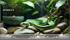 supporting healthy shedding