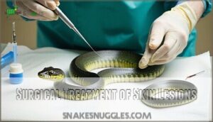 surgical treatment of skin lesions