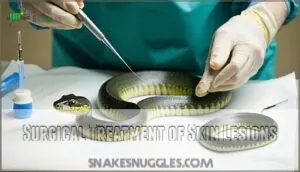 surgical treatment of skin lesions surgical treatment of skin lesions