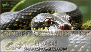 symptoms of eastern rat snake skin infection