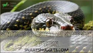 symptoms of eastern rat snake skin infection symptoms of eastern rat snake skin infection