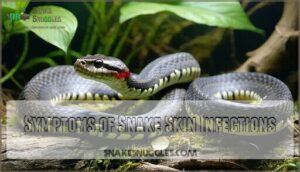 symptoms of snake skin infections