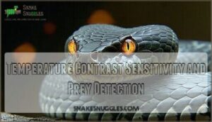 temperature contrast sensitivity and prey detection