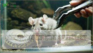thawed prey and quiet environment