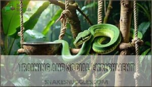 training and social enrichment